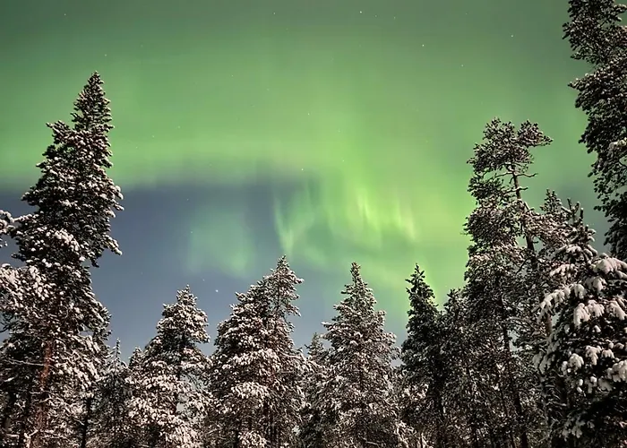 Appartamento Unique Warm Glass Igloo On A Frozen In Ivalo *